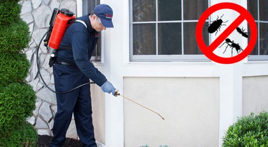 Espiye Kemirgen İlaçlama böcek ilaçlama ve haşere kontrolü — ilaclama-tr.com